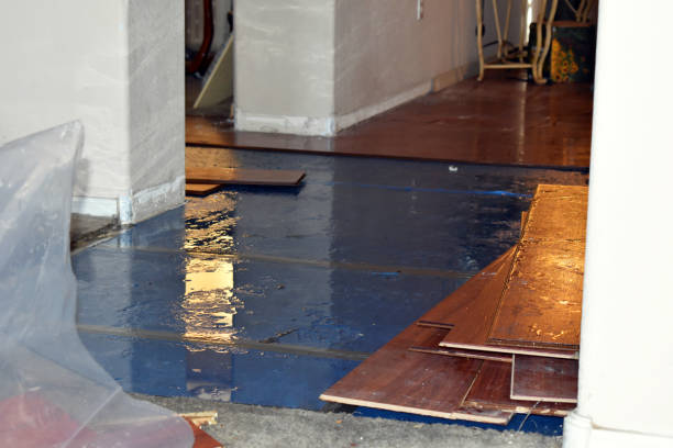 Professional Water Damage technician working in Hydetown, PA